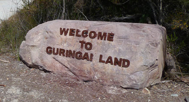 Welcome to Guringai Land